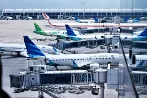 jasa cargo bandara Soekarno Hatta