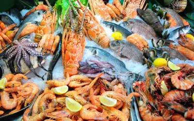 Jasa Supplier Seafood di Indonesia yang Terpercaya
